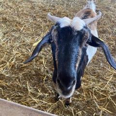 Apartamento Mi casa tu casa