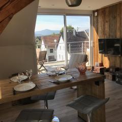 Appartement chaleureux et lumineux avec vue ! au centre Alsace