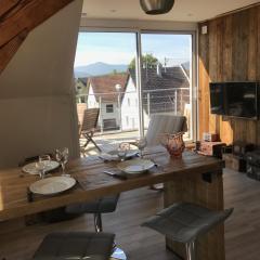 Appartement chaleureux et lumineux avec vue ! au centre Alsace