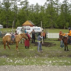 サンパス モ​​ンゴリア（Sunpath Mongolia Tour & Hostel）