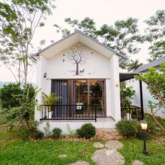 Dream Villas Thạch Thất Venuestay