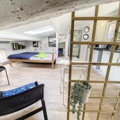 St Louis Studio mansardé atypique climatisé