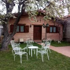 Casa Cristeta 1