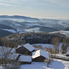 Traumblick Bayerischer Wald, Pool & Sauna, Getränke, Klimaanlage
