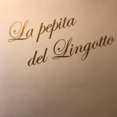 La pepita del Ling8