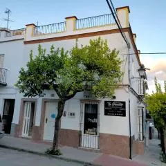 Jacaranda