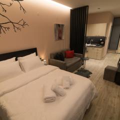 Elegant Studio