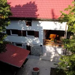 Kuća za odmor Ravno