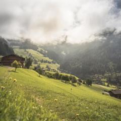 Ferienwohnung Alpbachtal