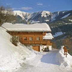 Apartment Unterpirchhof by Interhome