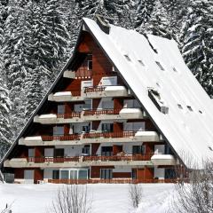 Apartment Anémone 2-16 by Interhome