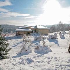 Villa Carinthia by Interhome