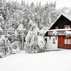 Apartment Janová by Interhome