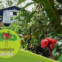 Guayabo Verde