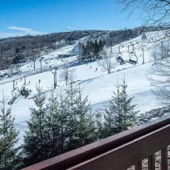 SKI IN/OUT Beech Mtn Views 5 BR House w/ Hot Tub