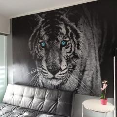 Apartament Tygrys