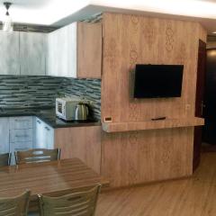 Comfortable studio apartment, near the metro station