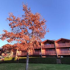 Apartamento con piscina en Santa Leocadia