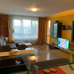 Central and Spacious apartment