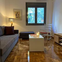 Cozy and comfortable apartment in Athens Center