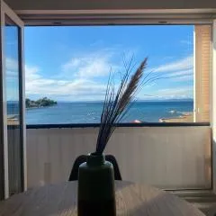 Apartment Privlaka direkt am Strand mit Klima und neuem Badezimmer Haustiere sind willkommen
