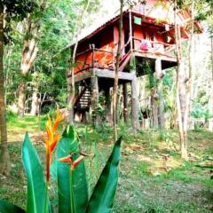 Treehouse Holidays-Garden View