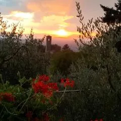La casetta di campagna Alloggio nel Chianti