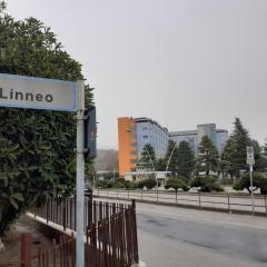 La Residenza di fronte all'Ospedale di Vittorio Veneto via Linneo
