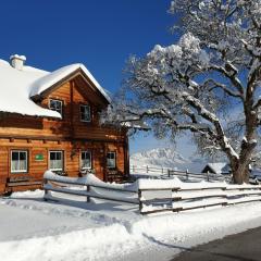 Ferienhaus Bichlhütte