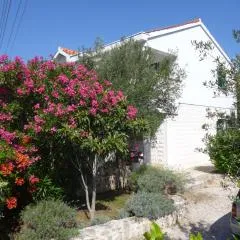 Apartments Suzana