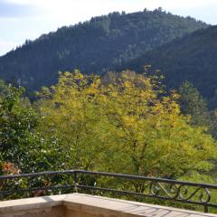 Maison au cœur des Cévennes Méridionales