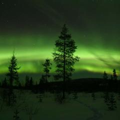 House in the heart of Lapland P4