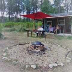 Cuckoo Lake Forest Cabin