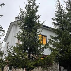 Kassandrov Guest House Ravnogor/ Касандрова къща Равногор
