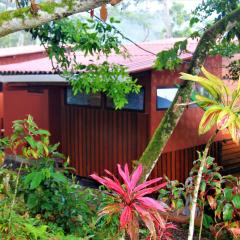 Casitas Eco Bambú