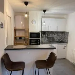 Épinal : superbe appartement en plein centre ville