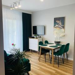 Apartament Stemar z dyżym baloknem