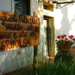 Azienda Agricola Polveraia