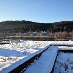 Chata nad Dziką Orlicą z jacuzzi