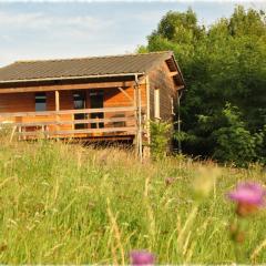 Gîte Velle-sur-Moselle, 3 pièces, 4 personnes - FR-1-584-108