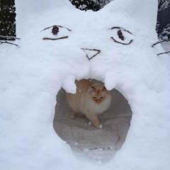 Haus Bergzyt - im Ski und Wandergebiet