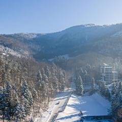 Kurort Kozubnik - Apartamenty Kiczora nad strumykiem - Dream Apart