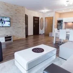 Apartament z widokiem na Szrenicę