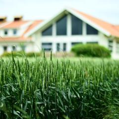 Katrinebergs Folkhögskola B&B