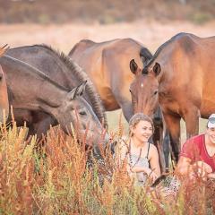 Zambujal Horses & Nature. House t1. Alentejo. Arronches.