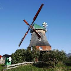 Holländer Windmühle in Neubukow