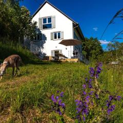 Freistehendes Ferienhaus mit Kamin, Sauna, atemberaubenden Blick ins Tal, mehrere Terrassen, 1500qm Grundstück 1,6m hoch eingezäunt