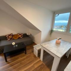 Apartment Seeblick in Arbon von Swisspartments