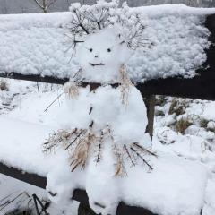 Großdorf Appartement En Vogue im Hahnenklee, Harz