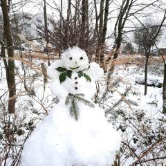 Grossdorf Ferienwohnung Waldsuite im Harz